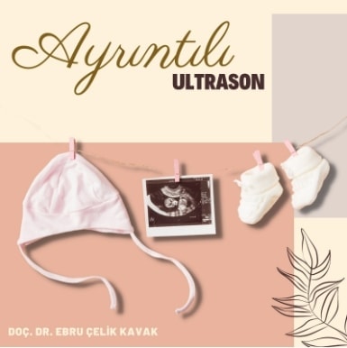 Elaz ayrntl ultrason