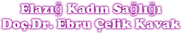 Elaz kadn sal Do Dr Ebru elik Kavak